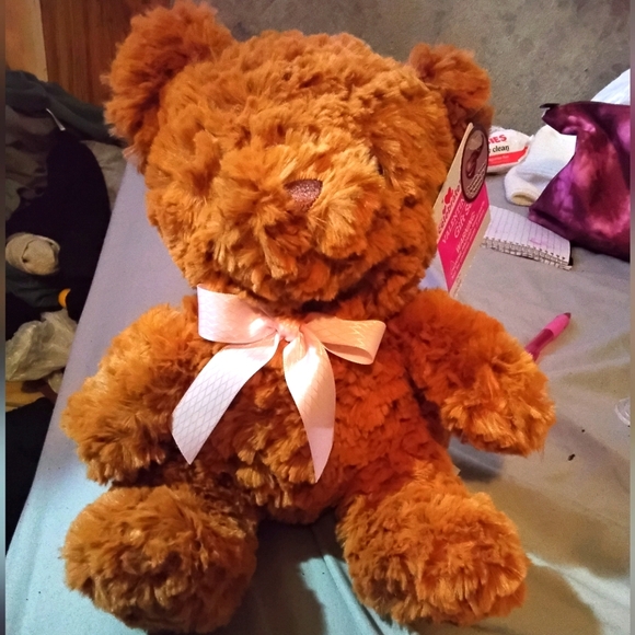 Chocolate Scented Teddy Bear - Picture 1 of 2